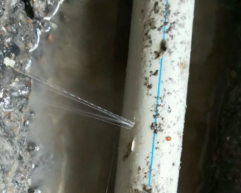 江海卫生间测漏水多少钱